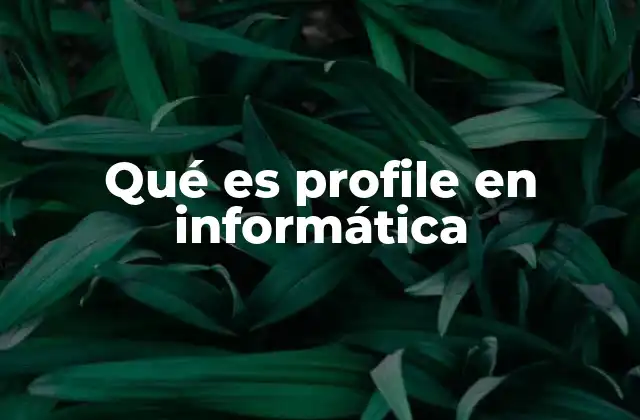 Qué es Profile en Informática