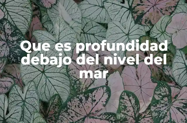 Que es Profundidad Debajo Del Nivel Del Mar