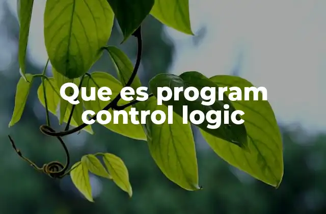 Que es Program Control Logic