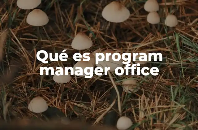 Qué es Program Manager Office
