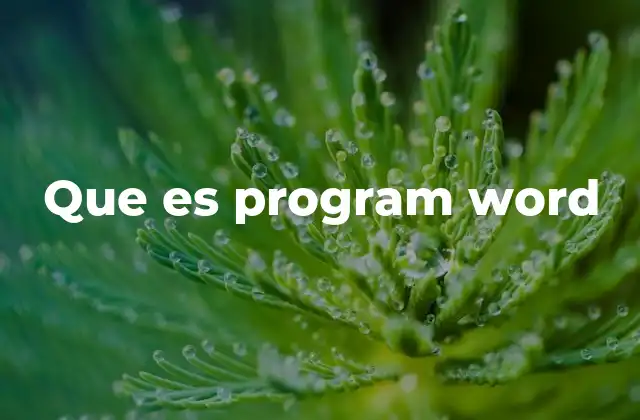 Que es Program Word