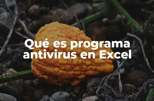 Qué es Programa Antivirus en Excel