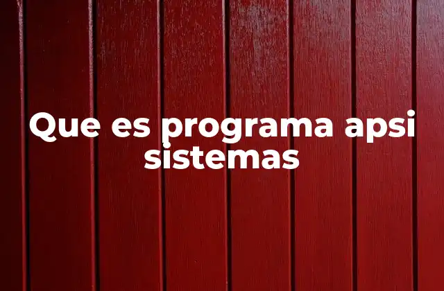 Que es Programa Apsi Sistemas