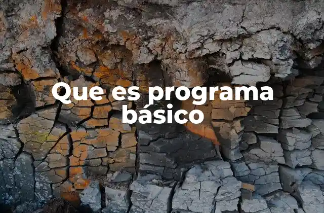 Que es Programa Básico