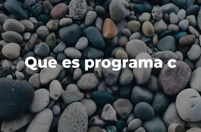 Que es Programa C