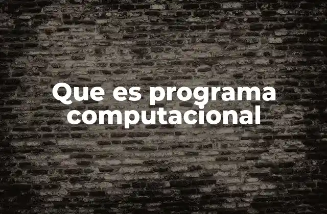 Que es Programa Computacional