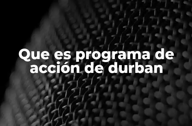 Que es Programa de Acción de Durban