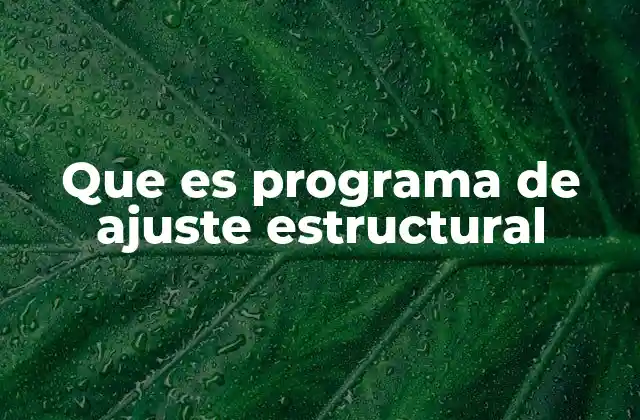 Que es Programa de Ajuste Estructural