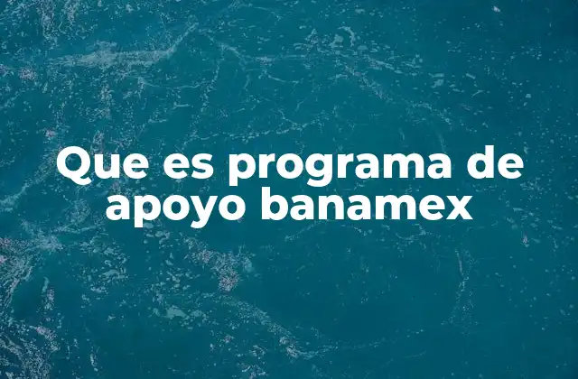 Que es Programa de Apoyo Banamex