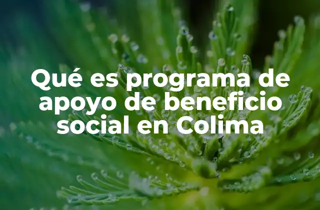 Qué es Programa de Apoyo de Beneficio Social en Colima