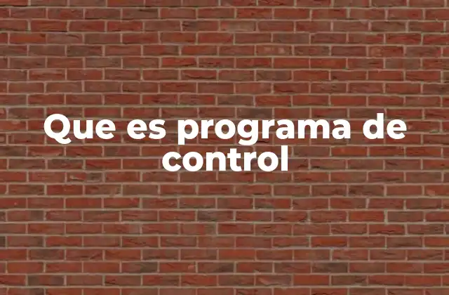 Que es Programa de Control