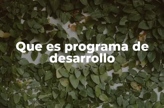 Que es Programa de Desarrollo