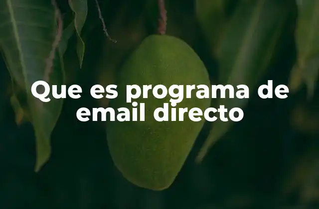 Que es Programa de Email Directo