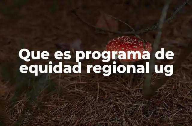 Que es Programa de Equidad Regional Ug