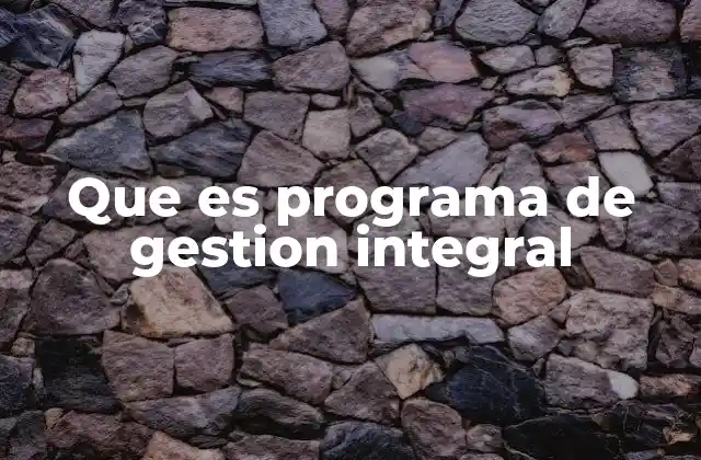Que es Programa de Gestion Integral