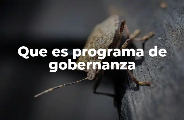 Que es Programa de Gobernanza