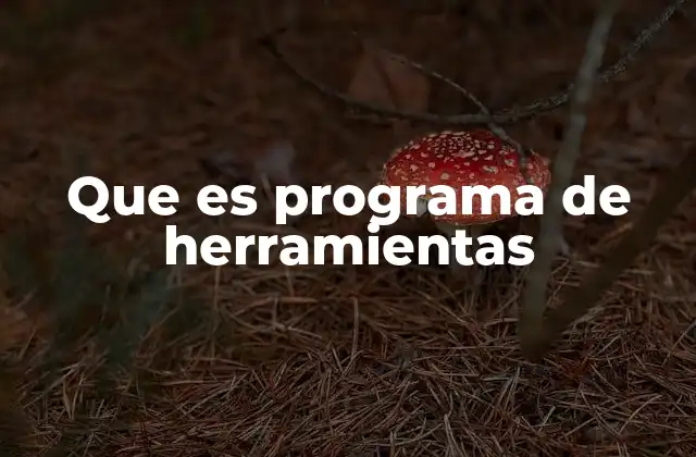 Que es Programa de Herramientas