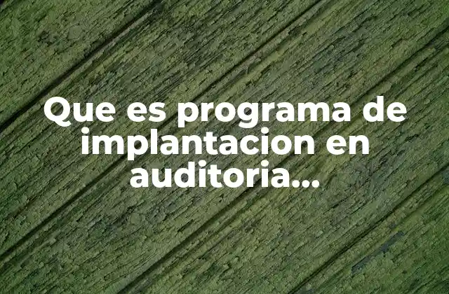 Que es Programa de Implantacion en Auditoria Administrativa