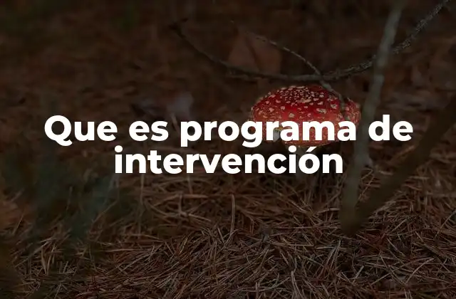 Que es Programa de Intervención