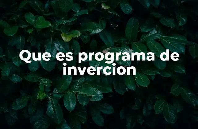 Que es Programa de Invercion