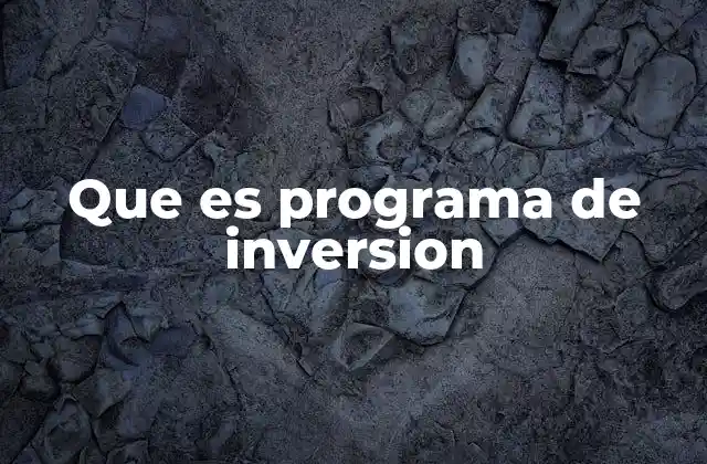 Que es Programa de Inversion