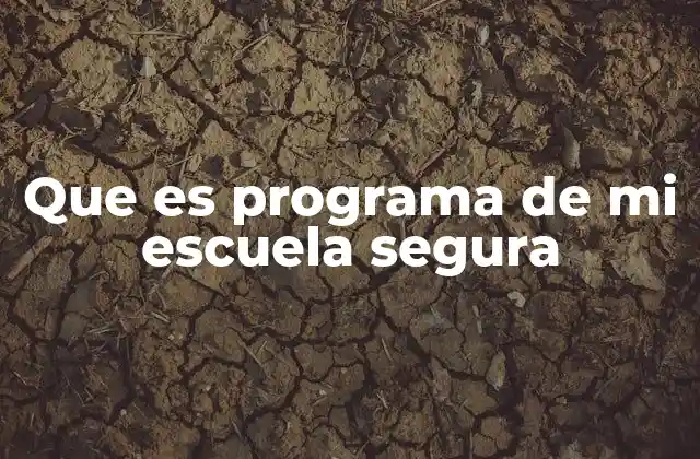 Que es Programa de Mi Escuela Segura