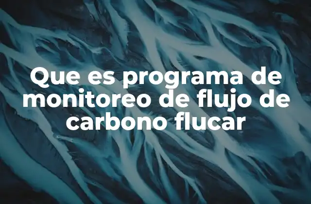 Que es Programa de Monitoreo de Flujo de Carbono Flucar 2 El papel del monitoreo de flujos de carbono en la gestión ambiental