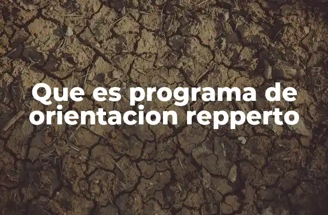 Que es Programa de Orientacion Repperto 2 El rol del Repperto en la educación secundaria