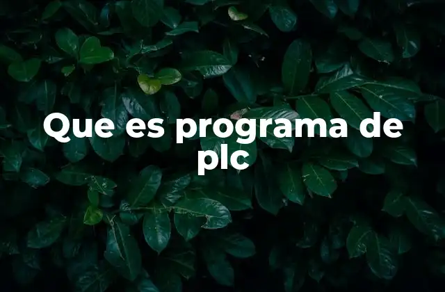 Que es Programa de Plc