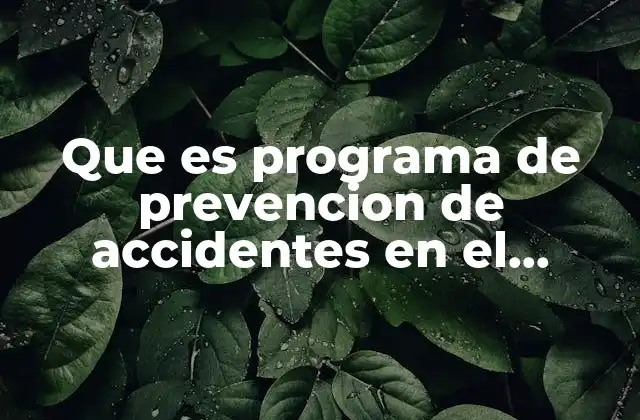 Que es Programa de Prevencion de Accidentes en el Trabajo