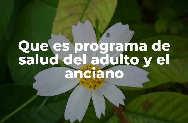 Que es Programa de Salud Del Adulto y el Anciano