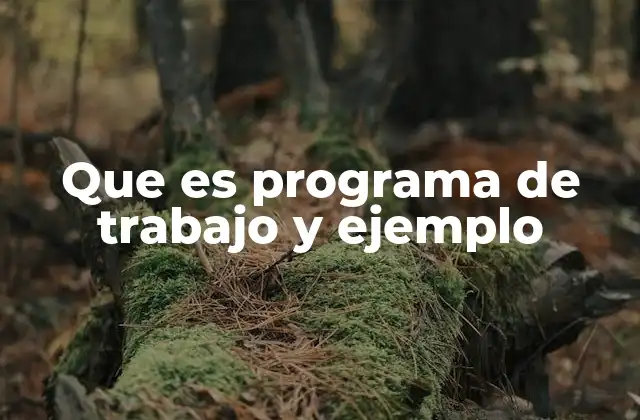 Que es Programa de Trabajo y Ejemplo