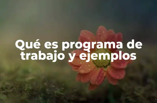 Qué es Programa de Trabajo y Ejemplos