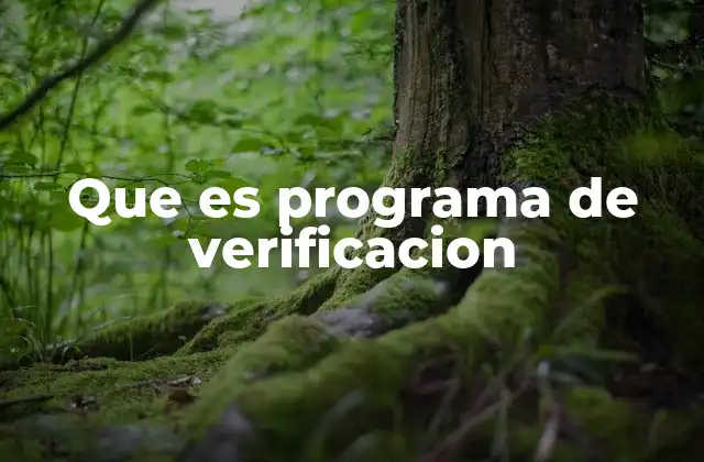 Que es Programa de Verificacion