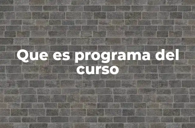 Que es Programa Del Curso