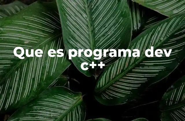 Características principales del Dev C++ y su importancia en la programación