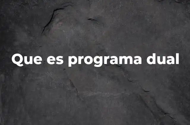Que es Programa Dual 2 Cómo funciona un programa dual