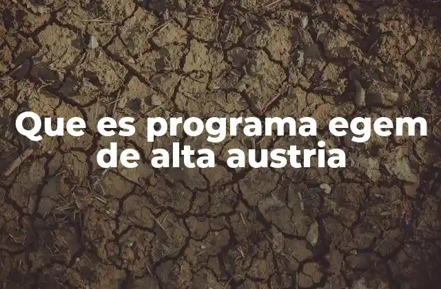 Que es Programa Egem de Alta Austria