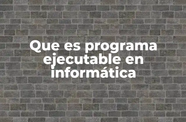 La importancia de los programas ejecutables en la computación moderna
