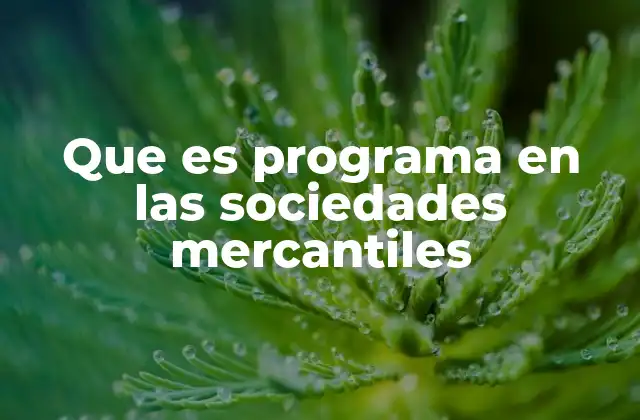 Que es Programa en las Sociedades Mercantiles