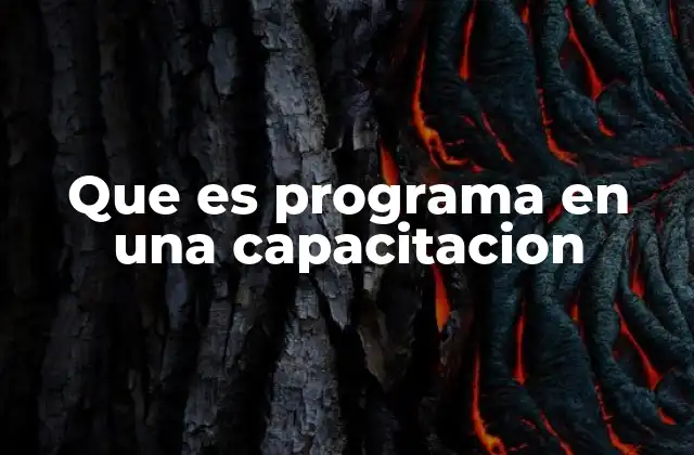 Que es Programa en una Capacitacion