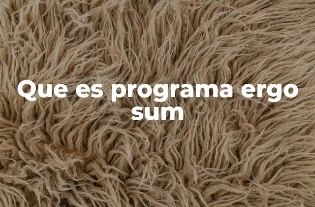 Que es Programa Ergo Sum 2 El concepto detrás de programa ergo sum