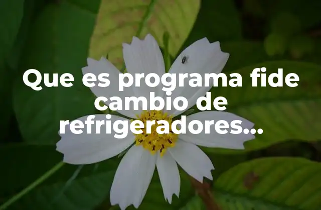 Que es Programa Fide Cambio de Refrigeradores Comerciales