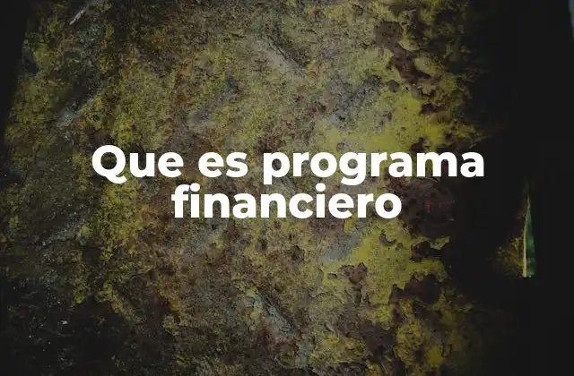 Que es Programa Financiero