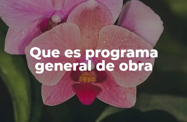 Que es Programa General de Obra