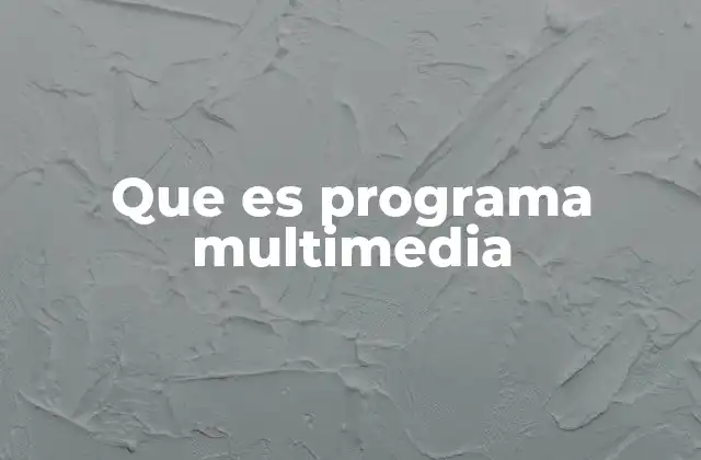 Que es Programa Multimedia