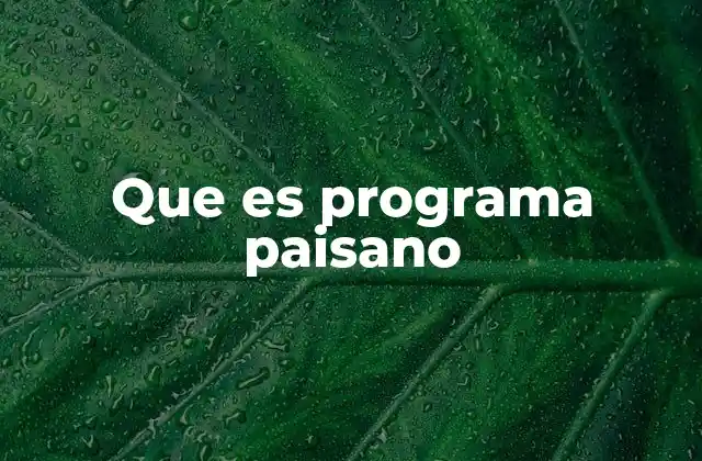 Que es Programa Paisano