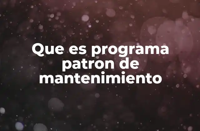Que es Programa Patron de Mantenimiento