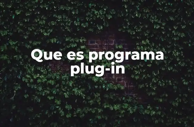 Que es Programa Plug-in