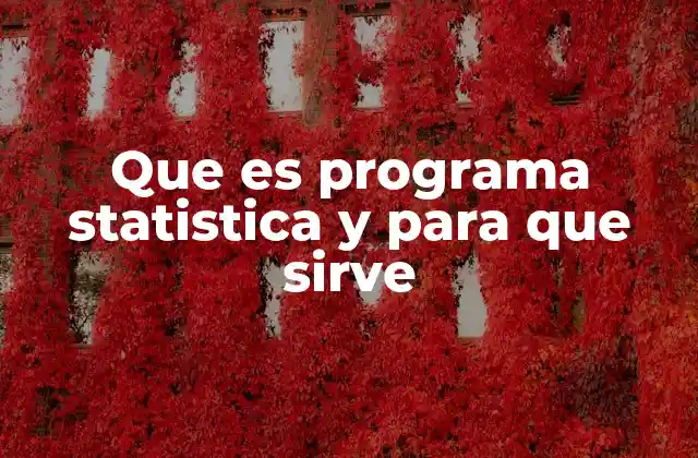 Que es Programa Statistica y para que Sirve